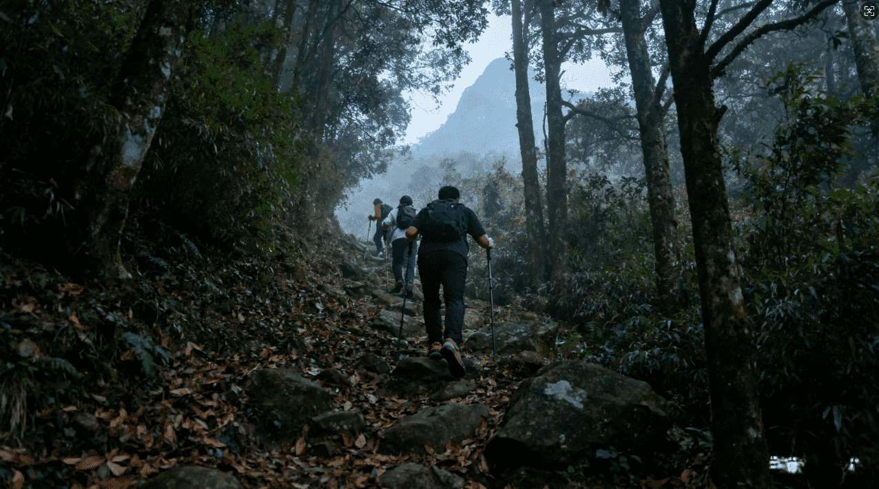 在线免费VP梯子加速器提升网络速度的方法